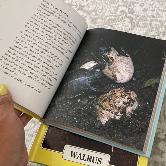 Getting To Know Natures Children Animal Books Hard Cover Bundle - Picture 6 of 7